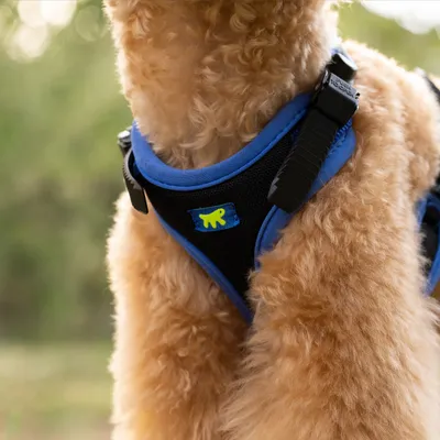 Ferplast Harnais ergonomique avec micro-régulation - ERGOCOMFORT P