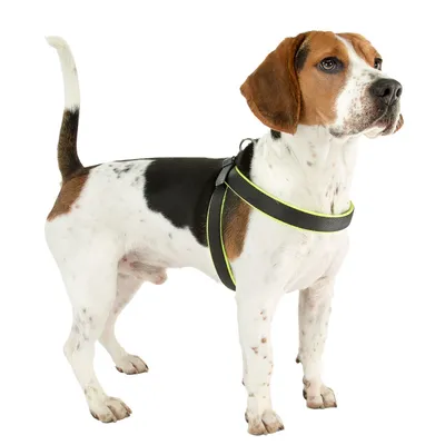 Ferplast Harnais ergonomique pour chiens avec rembourrage AGILA FLUO 3-9