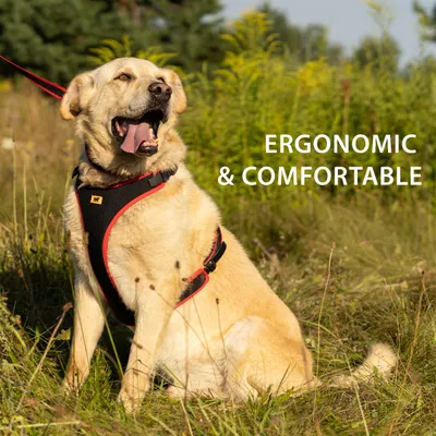 Ferplast Harnais ergonomique avec micro-régulation - ERGOCOMFORT P Ferplast Harnais ergonomique avec micro-régulation - ERGOCOMFORT P