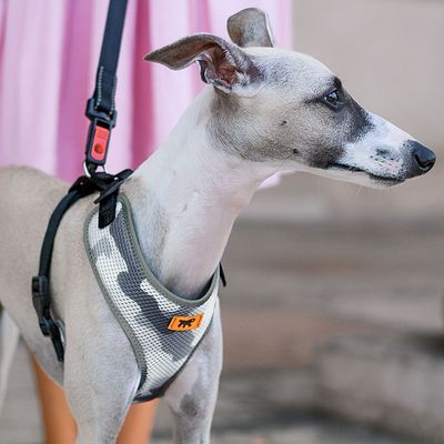 Ferplast Harnais technique en nylon respirant pour chiens. NIKITA P
