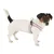 Ferplast Harnais ergonomique pour chiens avec AGILA 4-9 Ferplast Harnais ergonomique pour chiens avec AGILA 4-9