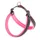 5 Fuchsia