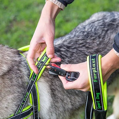 Ferplast Harnais pour chiens avec rembourrage soft. SPORT DOG P