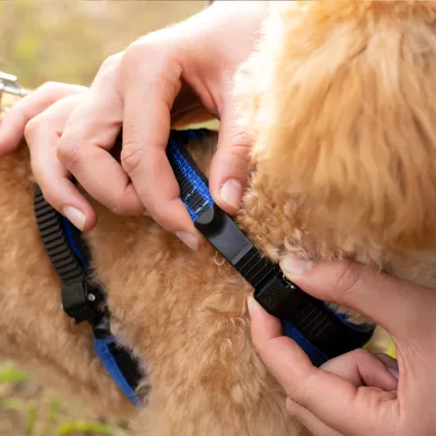 Ferplast Harnais ergonomique avec micro-régulation - ERGOCOMFORT P