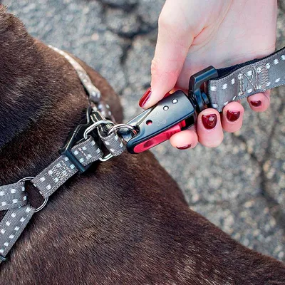 Ferplast Harnais en nylon pour chiens, disponible en CRICKET P