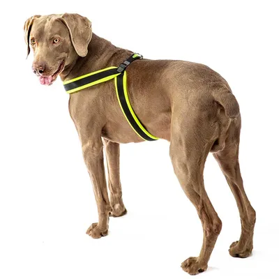 Ferplast Harnais ergonomique pour chiens avec fermeture AGILA FLUO 3-9