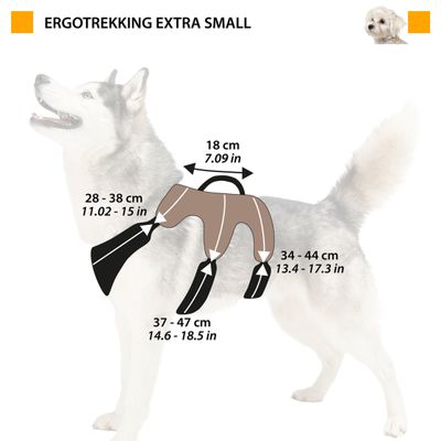 Ferplast Harnais Chien Rembourrée et réfléchissante, elle ERGOTREKKING