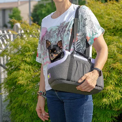 Ferplast Sac de transport pour chiens et chats BORSELLO