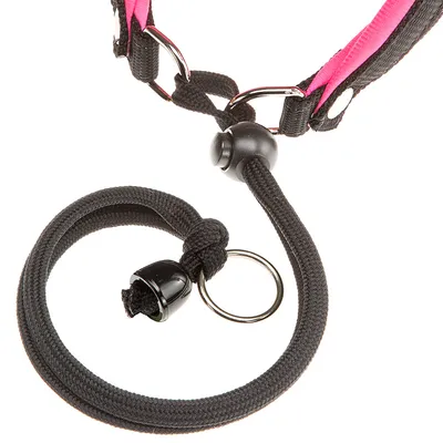 Ferplast Harnais ergonomique pour chiens avec rembourrage AGILA FLUO 1-2