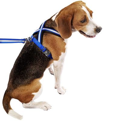 Ferplast Harnais réfléchissante pour chiens avec boucle DAYTONA CROSS P