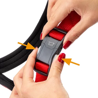 Ferplast Harnais réfléchissante pour chiens avec boucle DAYTONA CROSS P