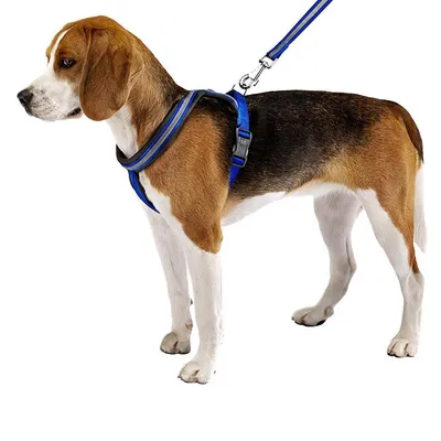 Ferplast Harnais réfléchissante pour chiens avec boucle DAYTONA CROSS P