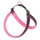 8 Fuchsia