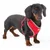 Ferplast Harnais pour chiens en nylon respirant avec NIKITA P Ferplast Harnais pour chiens en nylon respirant avec NIKITA P