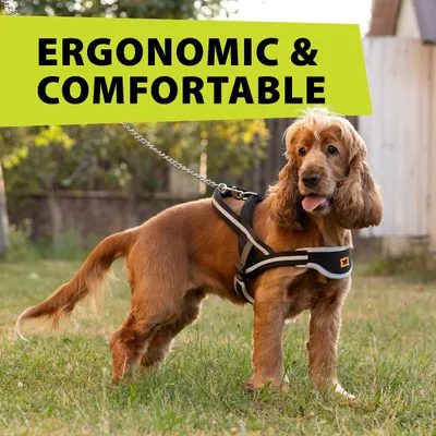 Ferplast Harnais ergonomique en nylon de type suédois - 3 ERGOCOMFORT Ferplast Harnais ergonomique en nylon de type suédois - 3 ERGOCOMFORT