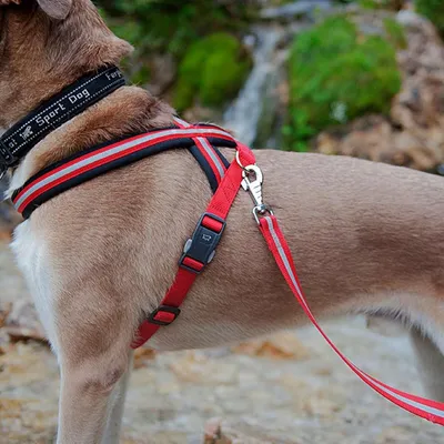 Ferplast Harnais réfléchissante pour chiens avec boucle DAYTONA CROSS P