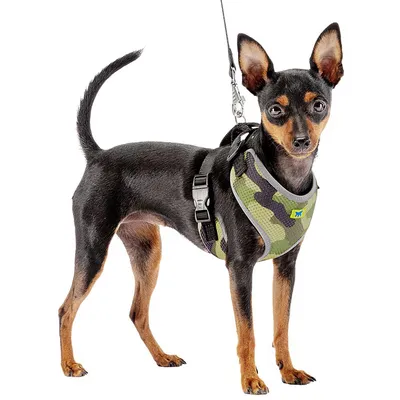 Ferplast Harnais technique en nylon respirant pour chiens. NIKITA P