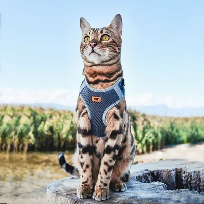 Ferplast Harnais pour chiens en nylon respirant avec NIKITA P