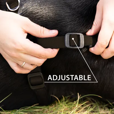 Ferplast Harnais en nylon avec rembourrage moelleux. En DAYTONA P