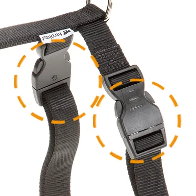 Ferplast Harnais pour chien en nylon. Différentes couleurs CHAMPION P