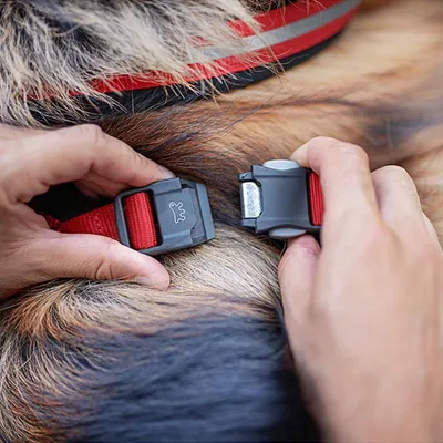 Ferplast Harnais réfléchissante pour chiens avec boucle DAYTONA CROSS P