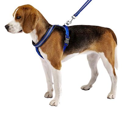 Ferplast Harnais réfléchissante pour chiens avec boucle DAYTONA CROSS P