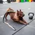Ferplast Harnais en nylon pour chiens, disponible en CRICKET P Ferplast Harnais en nylon pour chiens, disponible en CRICKET P