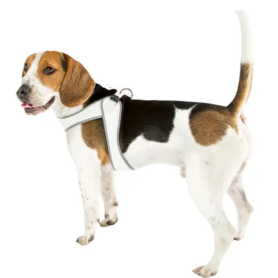 Ferplast Harnais ergonomique pour chiens avec AGILA 4-9