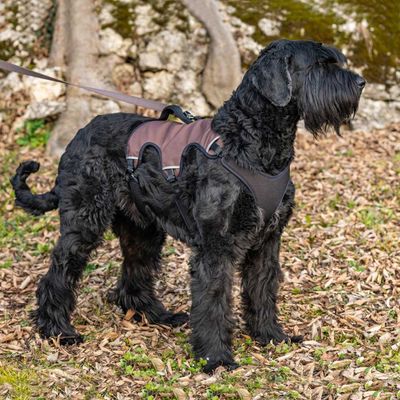 Ferplast Harnais Chien Rembourrée et réfléchissante, elle ERGOTREKKING