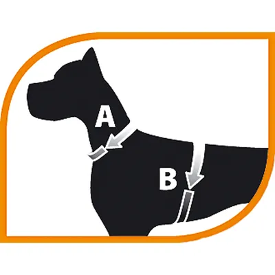 Ferplast Harnais en nylon pour chiens, disponible en CRICKET P Ferplast Harnais en nylon pour chiens, disponible en CRICKET P