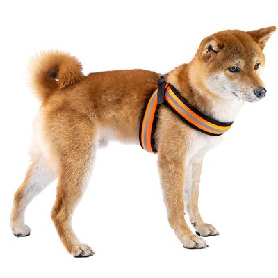 Ferplast Harnais ergonomique haute visibilité pour chiens AGILA REFLEX