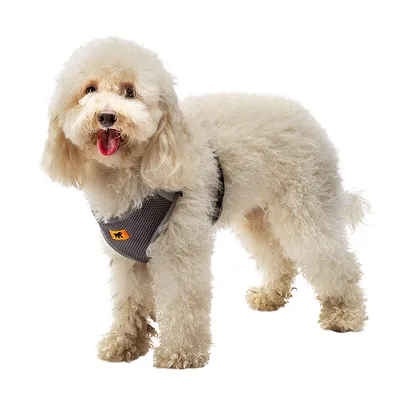 Ferplast Harnais pour chiens en nylon respirant avec NIKITA P