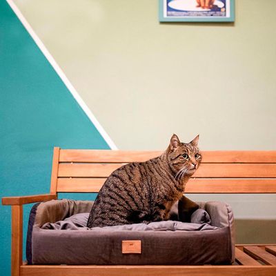 Ferplast Niche avec coussin pour chiens et chats en tissu HARRIS
