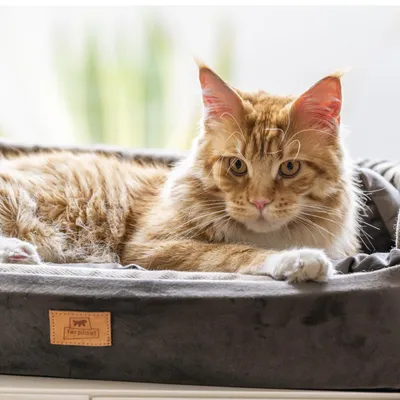 Ferplast Niche avec coussin pour chiens et chats en tissu HARRIS