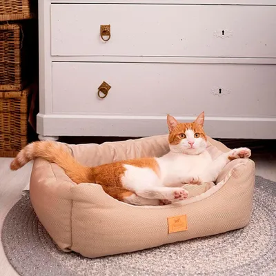 Lit pour Chien et Chat Chester 50 Coussin Oreiller Plusieurs couleurs