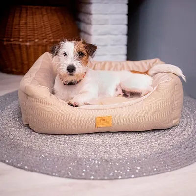 Ferplast Canapé avec coussin en tissu résistant pour chiens CHESTER