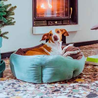 Ferplast Weiches Stoffsofa für Hunde und Katzen. QUEEN