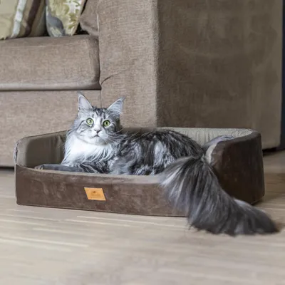 Ferplast Niche avec coussin pour chiens et chats en tissu HARRIS