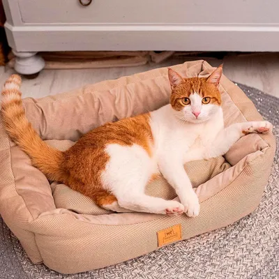 Ferplast Sofa mit Kissen aus strapazierfähigem Stoff für CHESTER