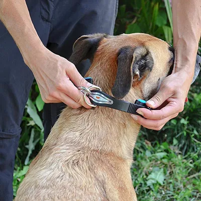 Ferplast Collier pour chiens avec rembourrage souple et ERGOFLUO C Ferplast Collier pour chiens avec rembourrage souple et ERGOFLUO C