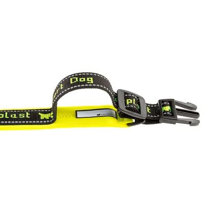 Ferplast Collier pour chiens avec rembourrage soft. SPORT DOG C