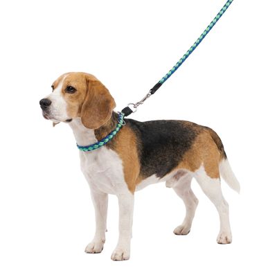 Ferplast Collier semi-étrangleur en cordon nylon tressé. TWIST CS