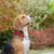 Ferplast Collier semi-étrangleur pour chien avec DAYTONA CSS Ferplast Collier semi-étrangleur pour chien avec DAYTONA CSS