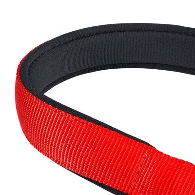 Ferplast Collier semi-étrangleur pour chien avec DAYTONA CSS