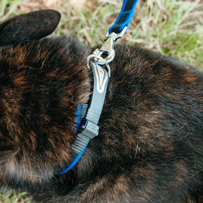 Ferplast Collier ergonomique avec micro-régulation - ERGOCOMFORT C Ferplast Collier ergonomique avec micro-régulation - ERGOCOMFORT C