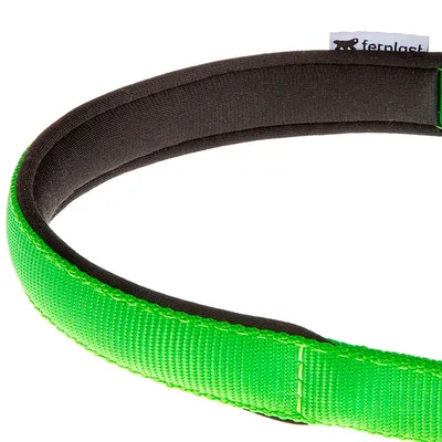 Ferplast Collier semi-étrangleur avec rembourrage moelleux. DAYTONA CSS