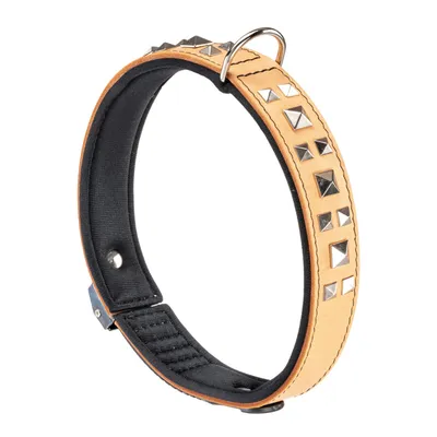Ferplast Collier en véritable cuir avec clous décoratifs et GIOTTO LUXOR Ferplast Collier en véritable cuir avec clous décoratifs et GIOTTO LUXOR