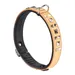 Ferplast Collier en véritable cuir avec clous décoratifs et GIOTTO LUXOR