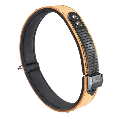 Ferplast Collier en véritable cuir avec clous décoratifs et GIOTTO LUXOR