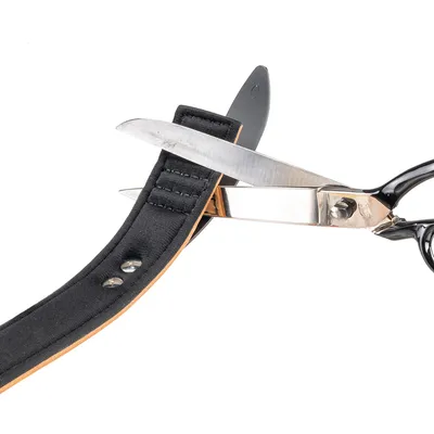 Ferplast Collier en véritable cuir avec clous décoratifs et GIOTTO LUXOR